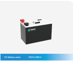 12V Battery series - PAYA CORE 4