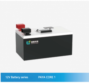 12V Battery series - PAYA CORE 1