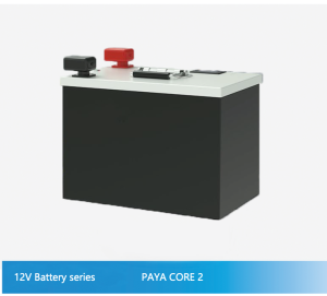 12V Battery series - PAYA CORE 2